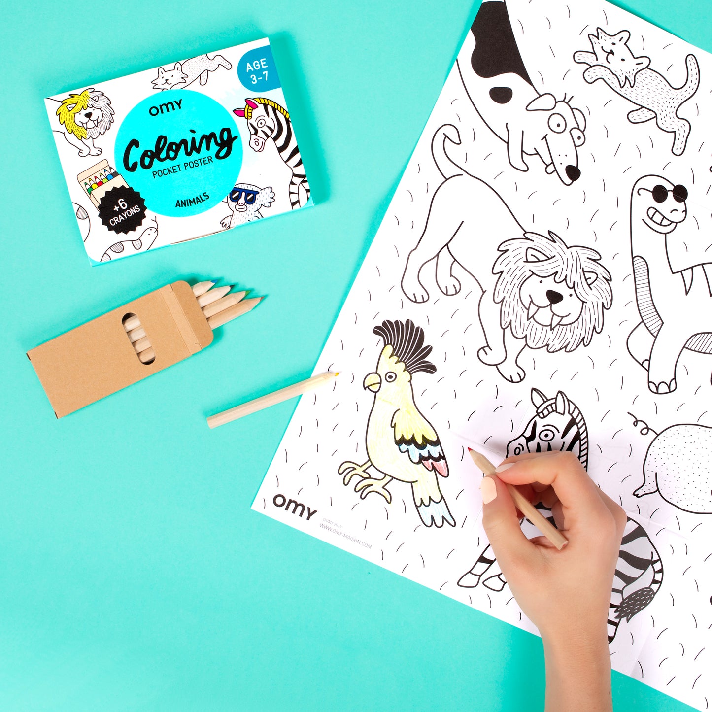 Coloriage pocket | Animals