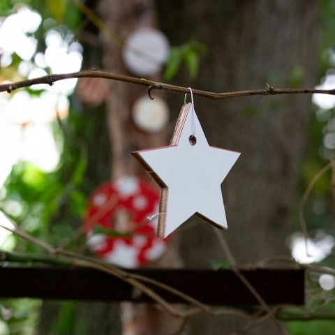 Boules de Noël | Au soleil