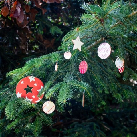 Boules de Noël | Au soleil